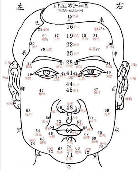 面相歲數|面相流年部位歌訣簡釋